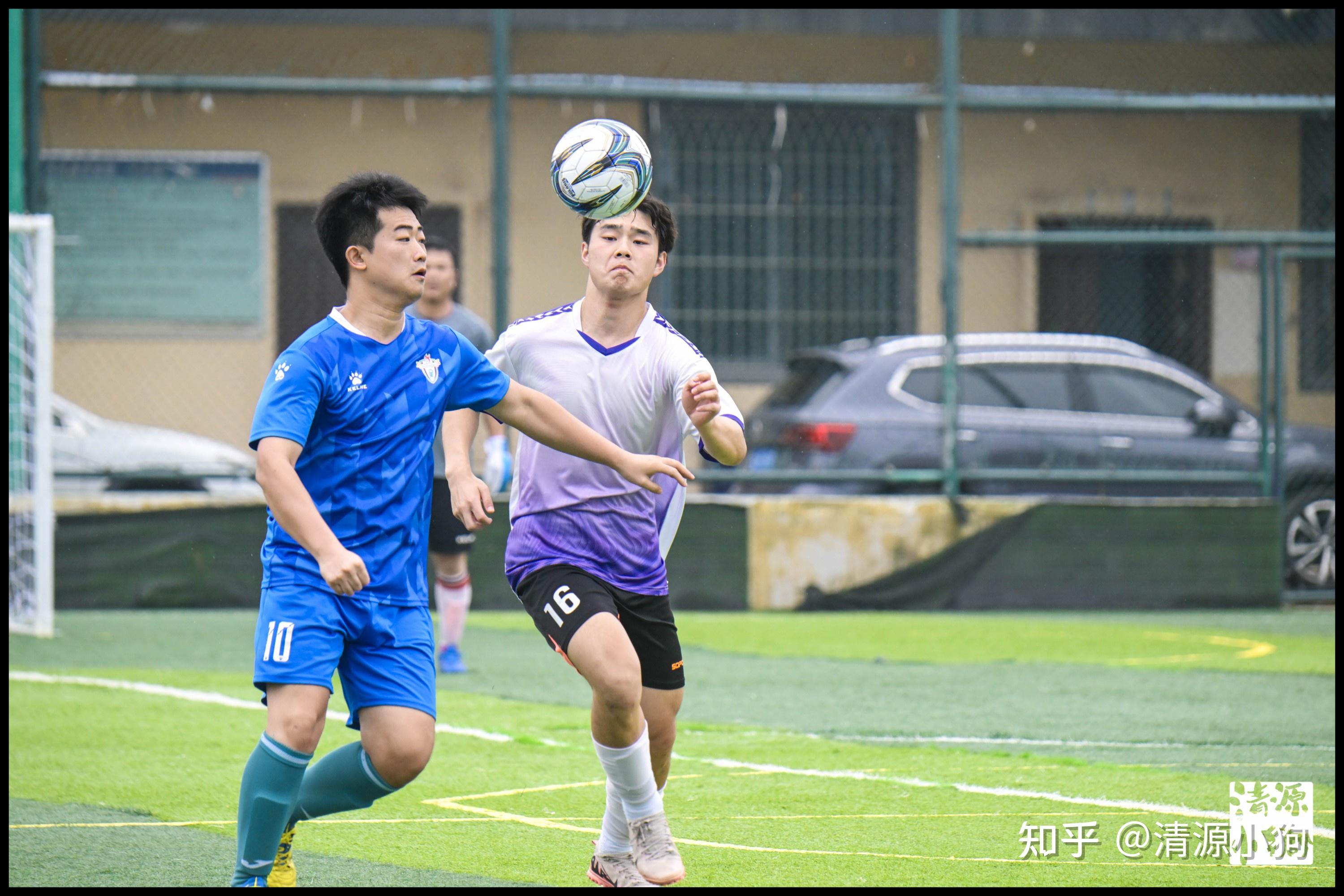 则是职业素 则是职业素